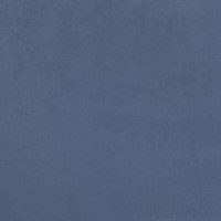 Катания дусти блю