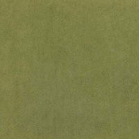 Катания форест