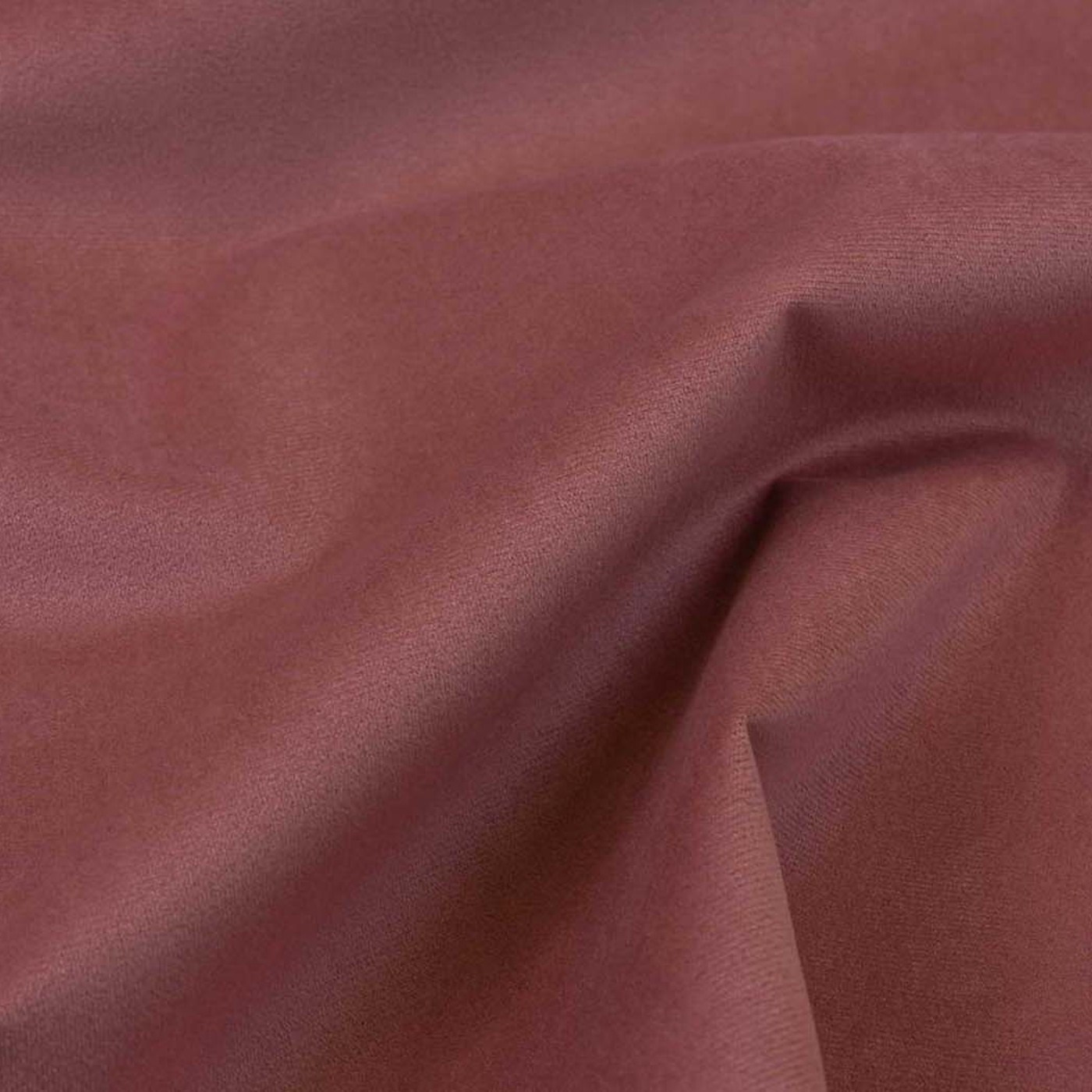 Колибри берри