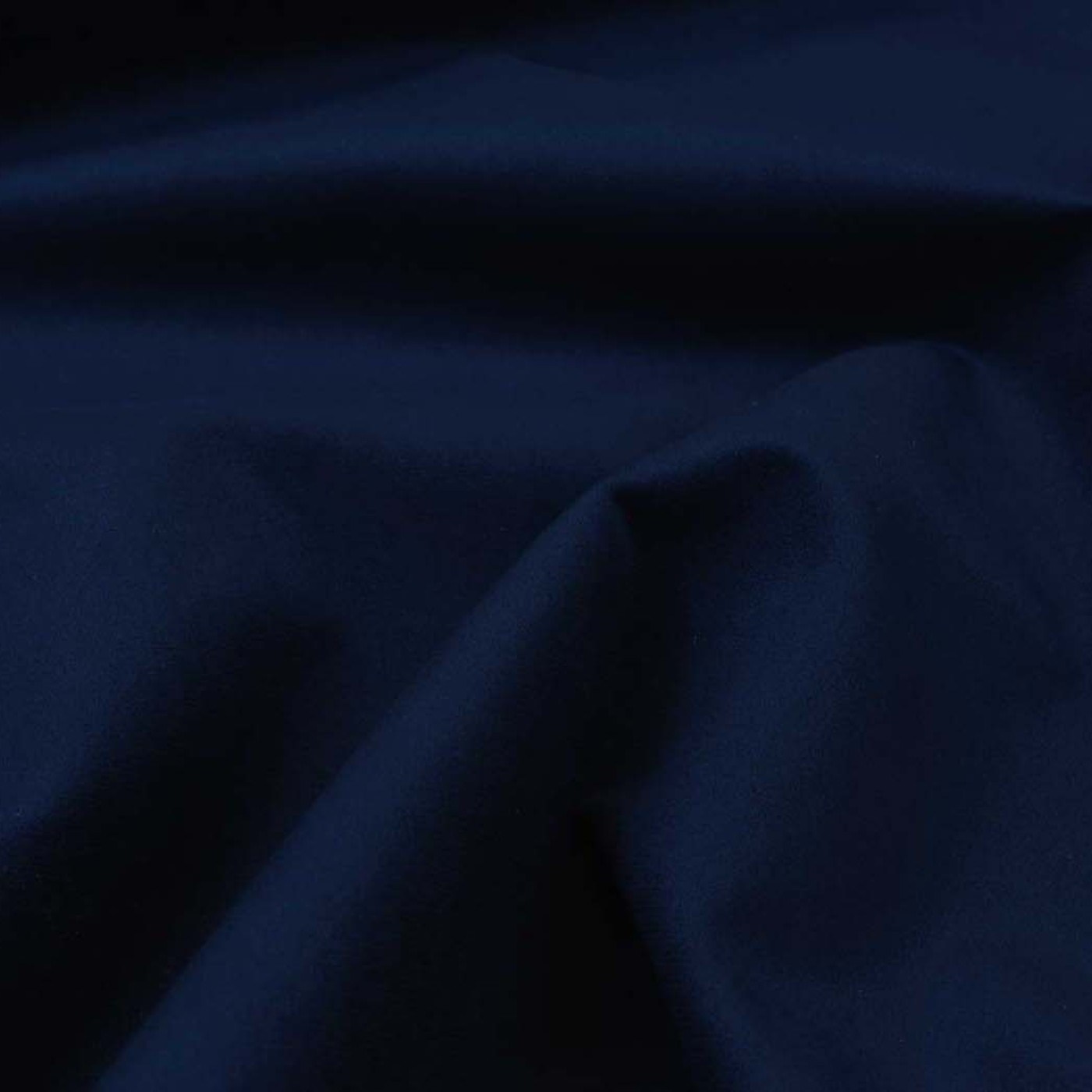 Колибри блю