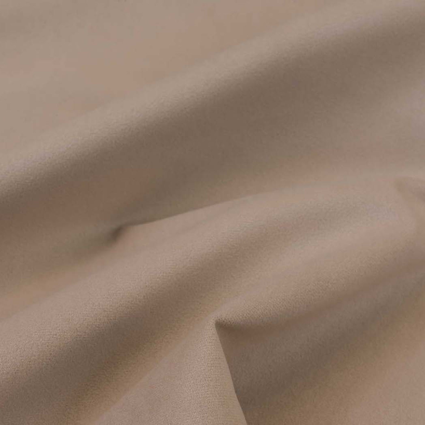 Колибри кэмел