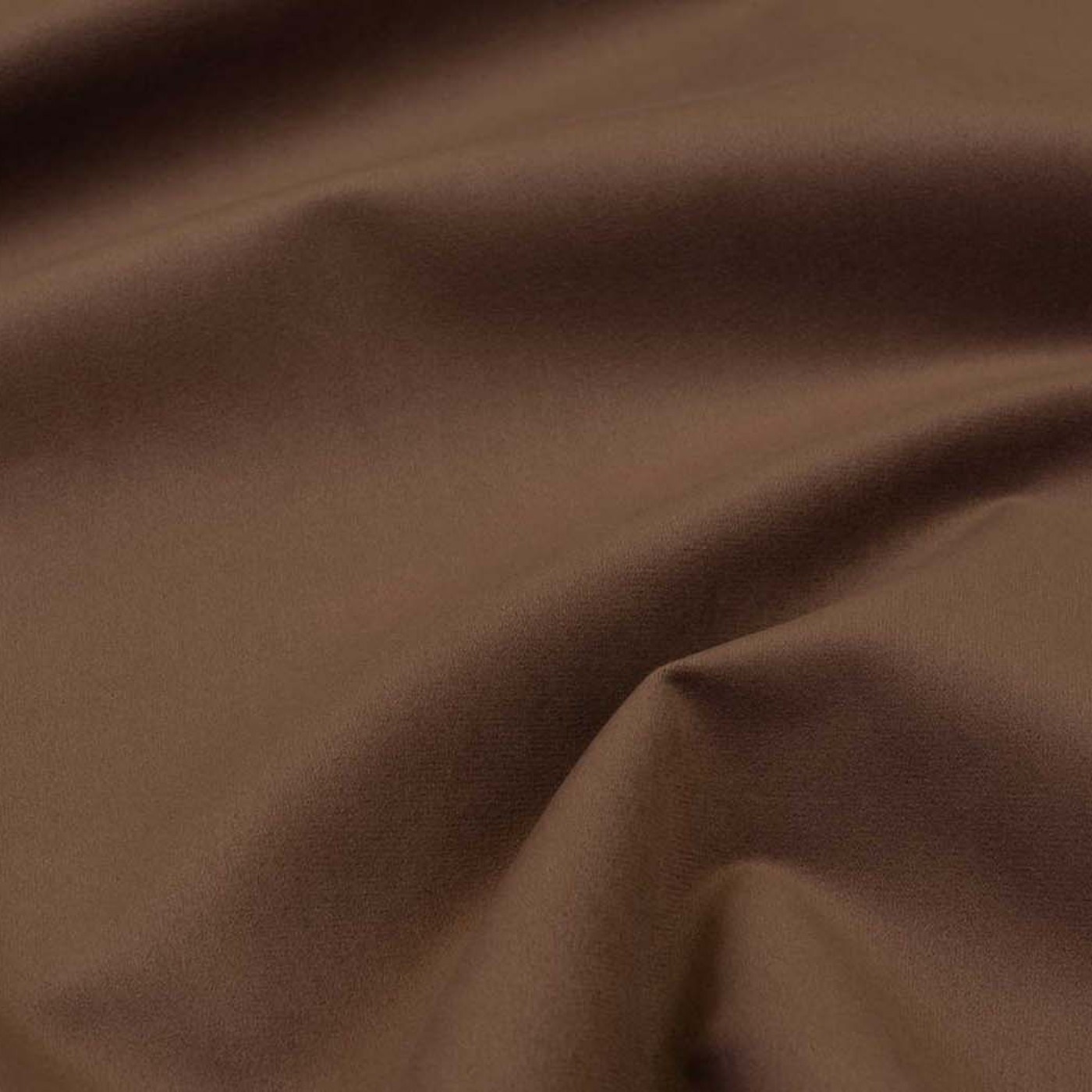 Колибри корица