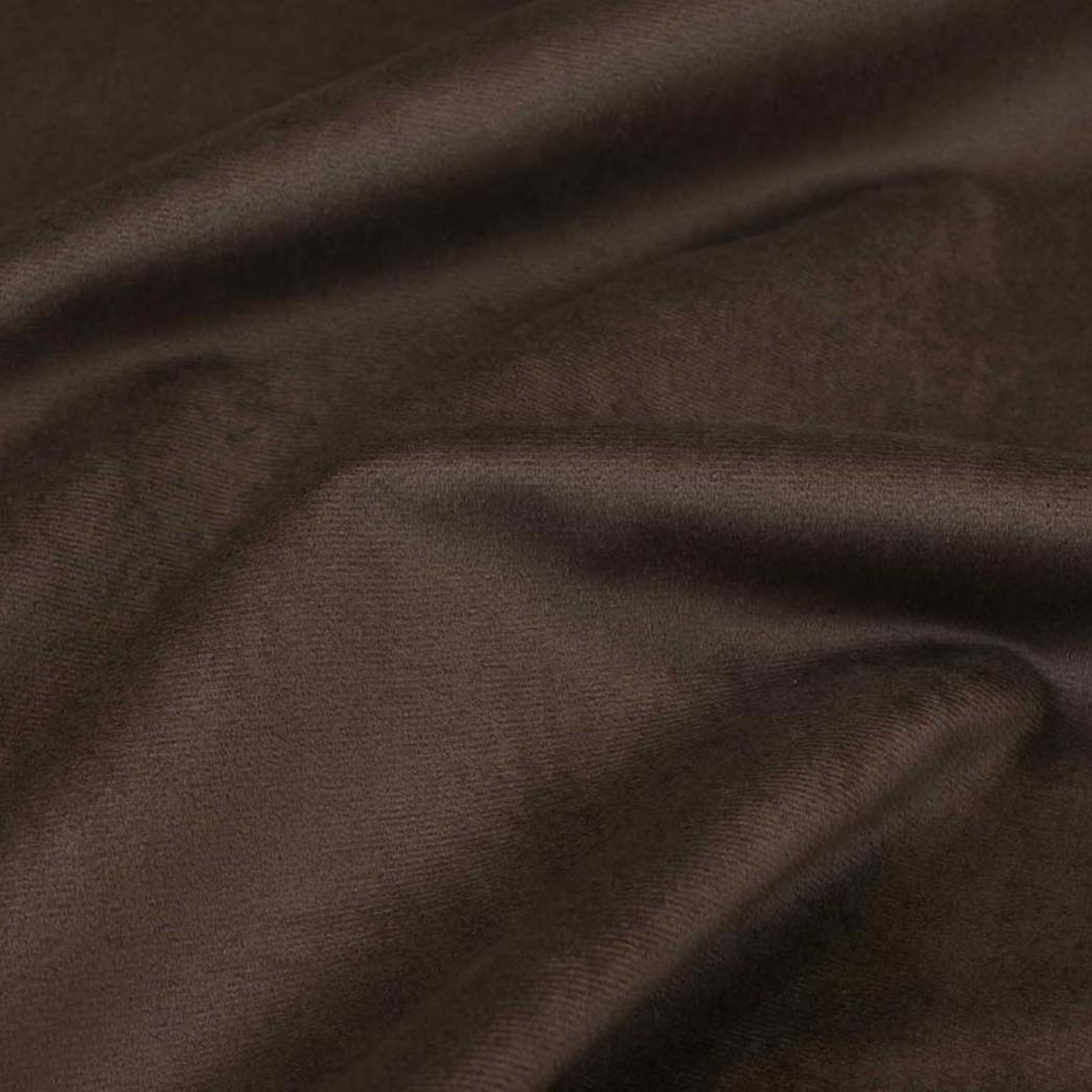 Колибри мокко