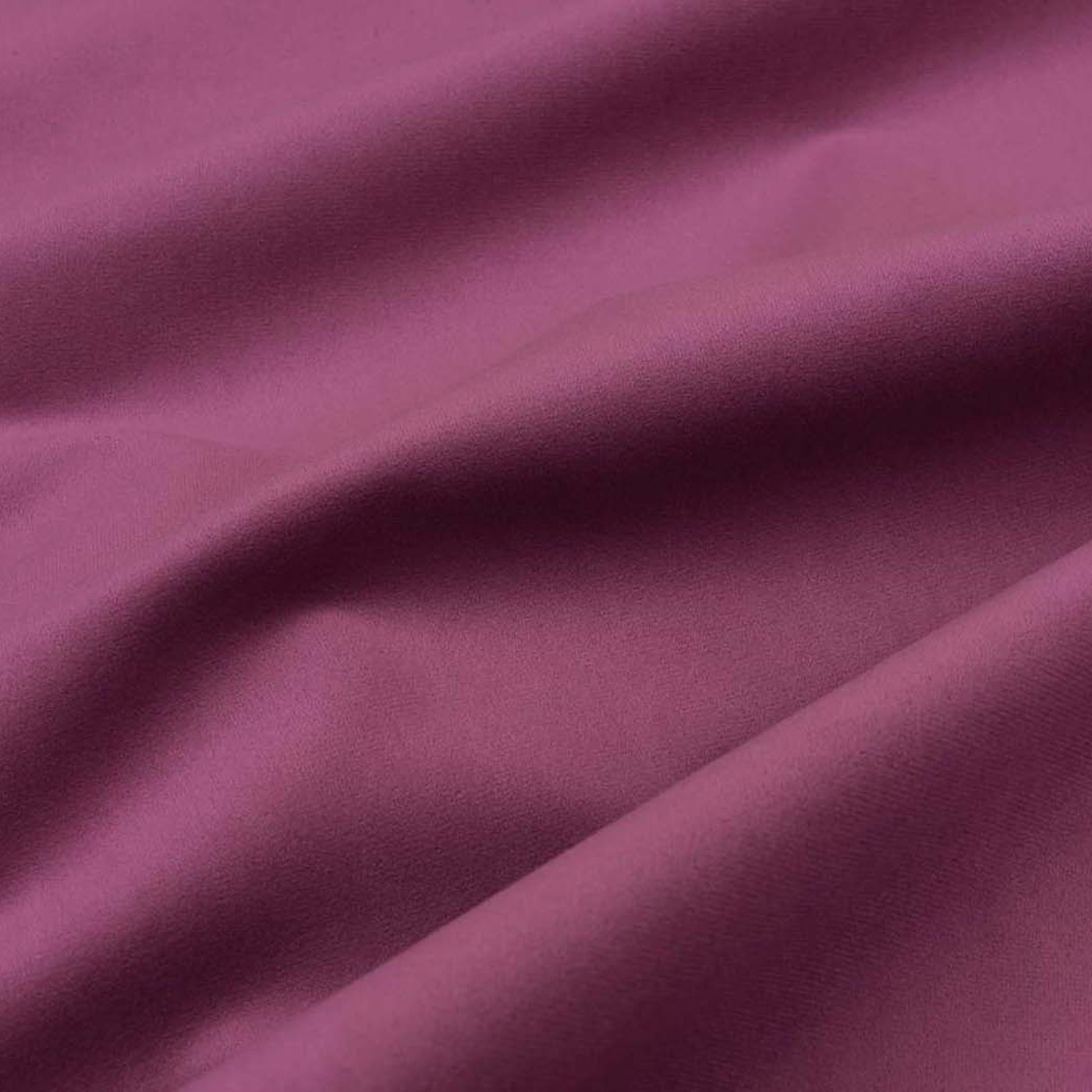 Колибри пинк