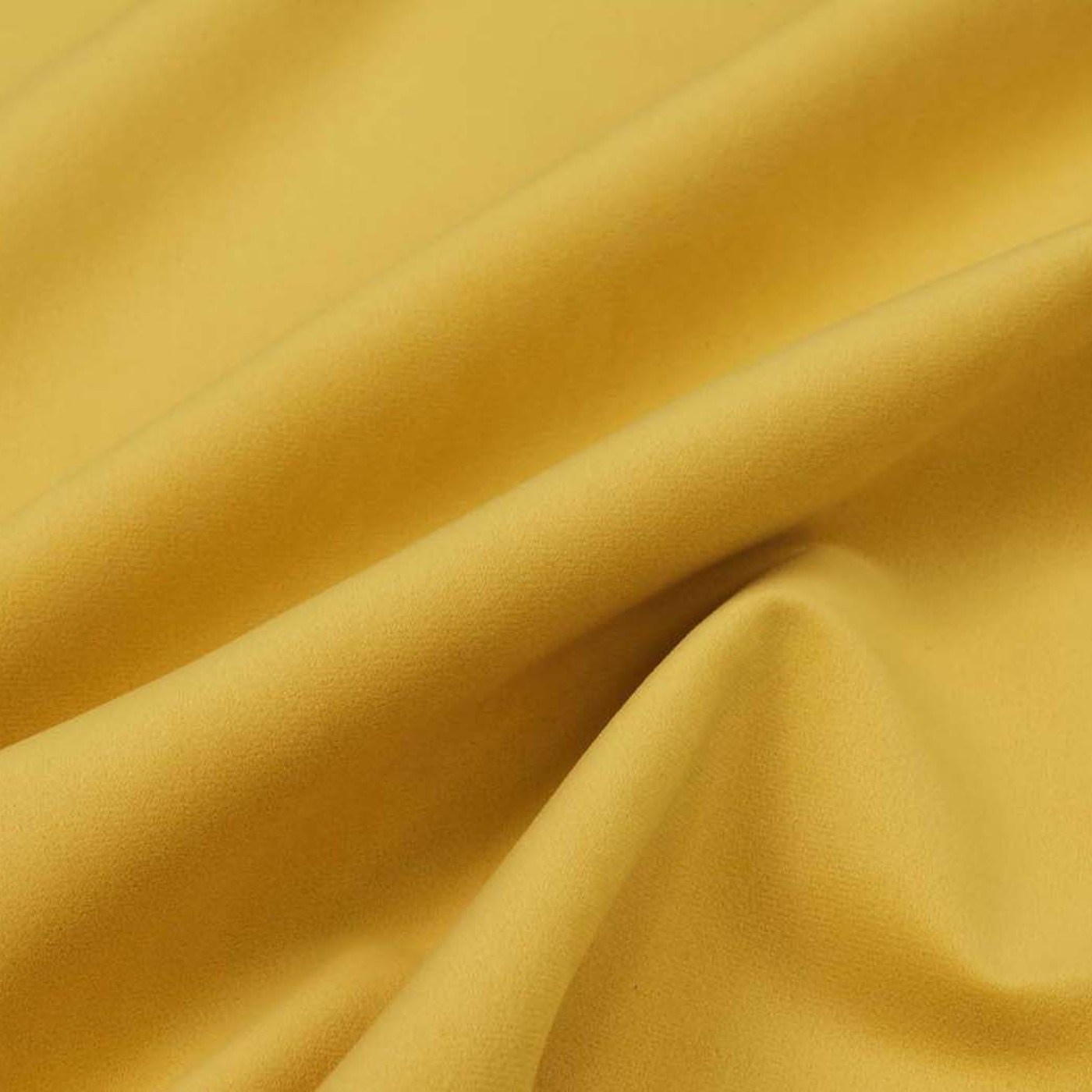 Колибри санни