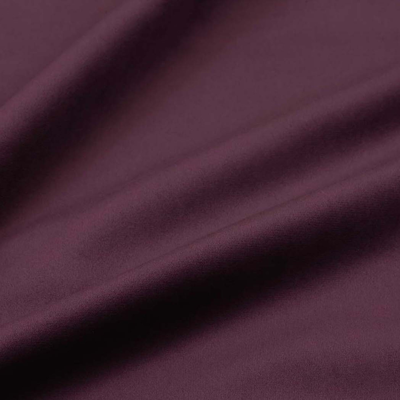 Колибри виолет