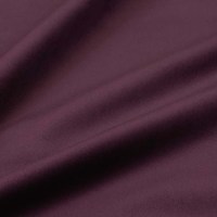 Колибри виолет