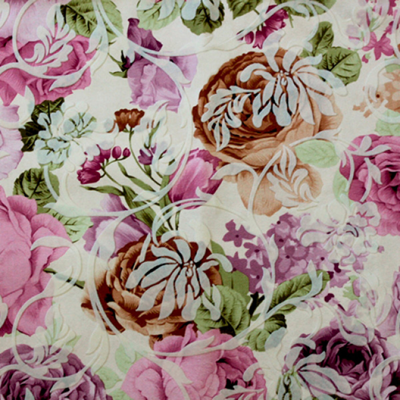 Аманда фиалка