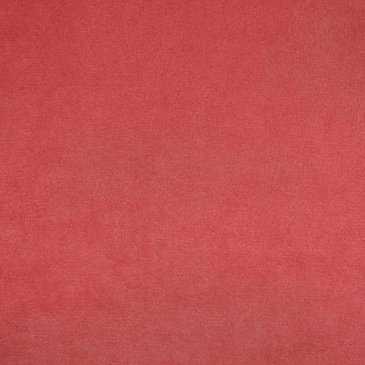 Бугатти (Мерида) 31