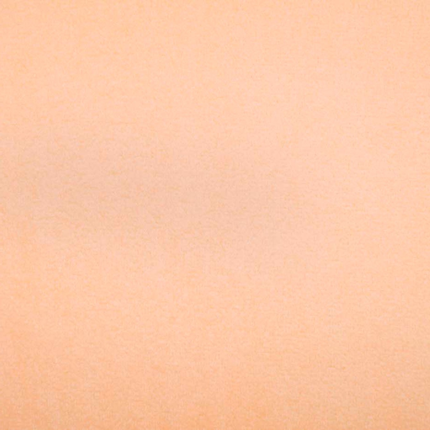 Бугатти (Мерида) 42