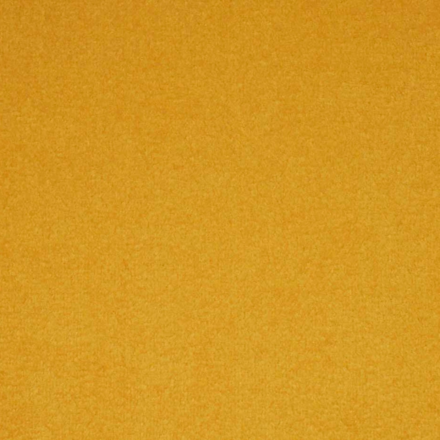 Бугатти (Мерида) 14