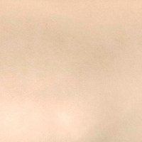 Бугатти (Мерида) 30