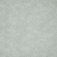 Клауд 01 (молочный)