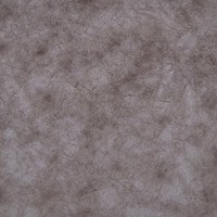 Клауд 13 (розовая глициния)