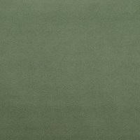 Камилла 21 (светло-зеленый)