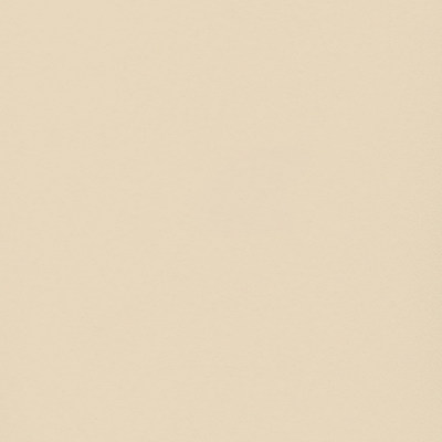 Пленка Софт латте 78991