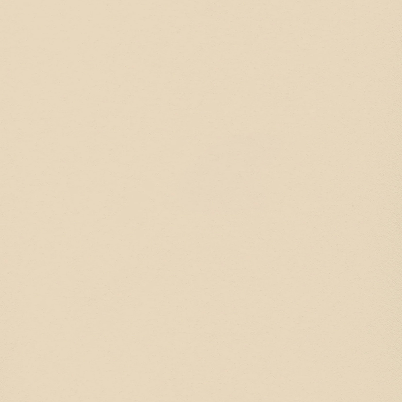 Пленка Софт латте 78991