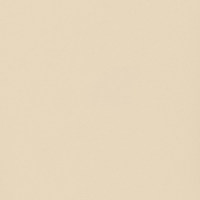 Пленка Софт латте 78991