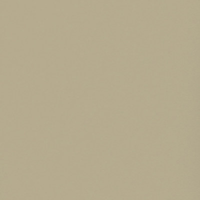 Пленка Софт грин 78990