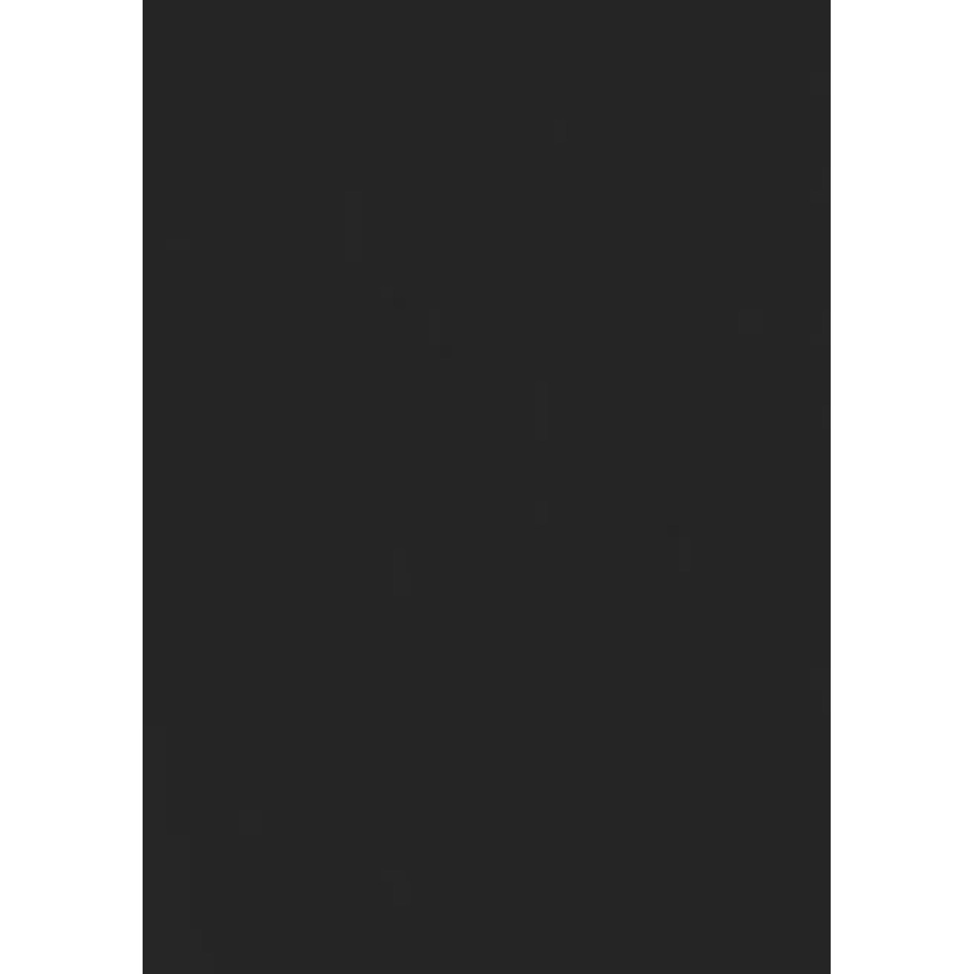 ДСП Лам. 16мм Черный шунгитовый 1с. W01 (2,8х2,07) Линейные поры