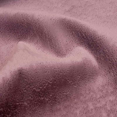 Джокер лавандер