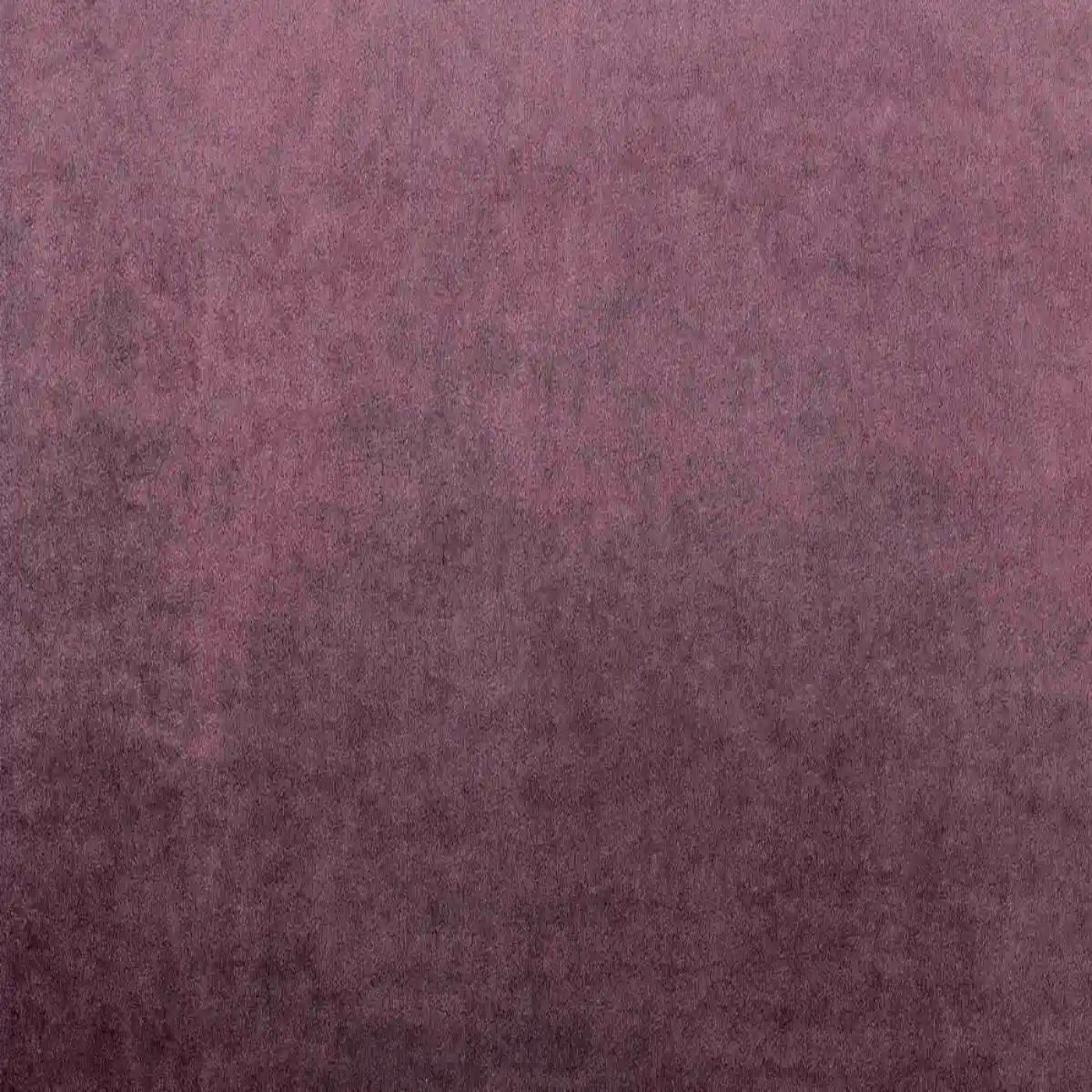 Богемия лилак