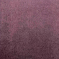 Богемия лилак