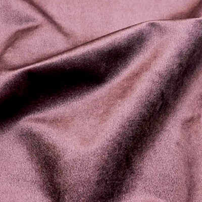 Богемия лилак