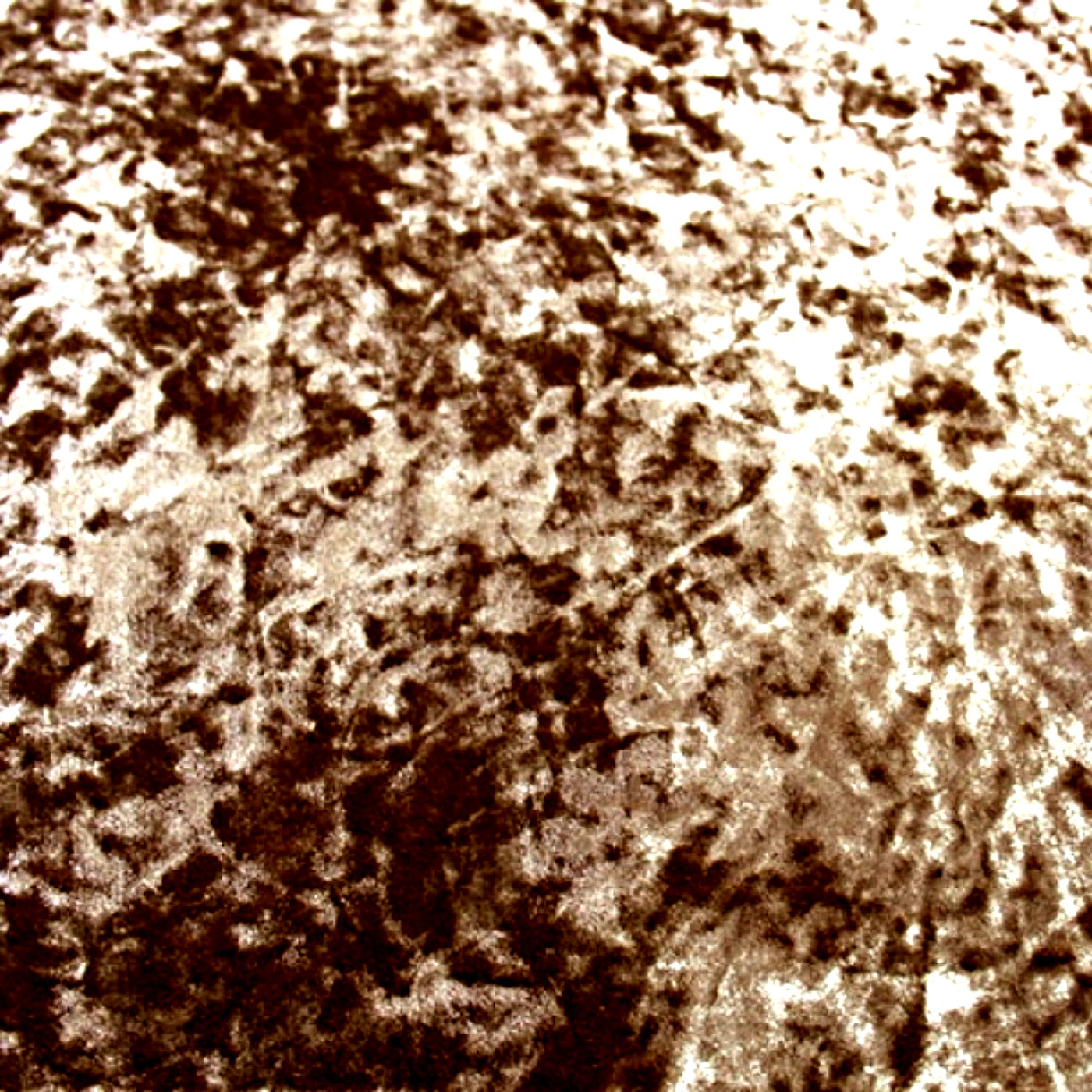 Рич пале браун