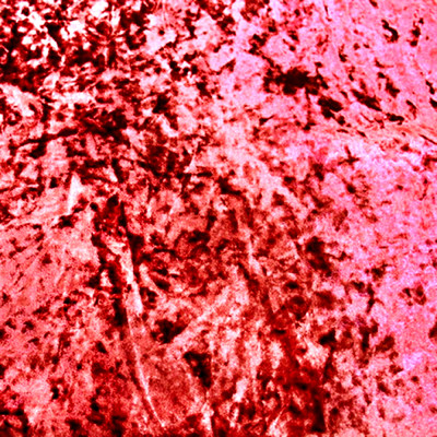 Рич черри_выведена из рабочей коллекции в 2019г.