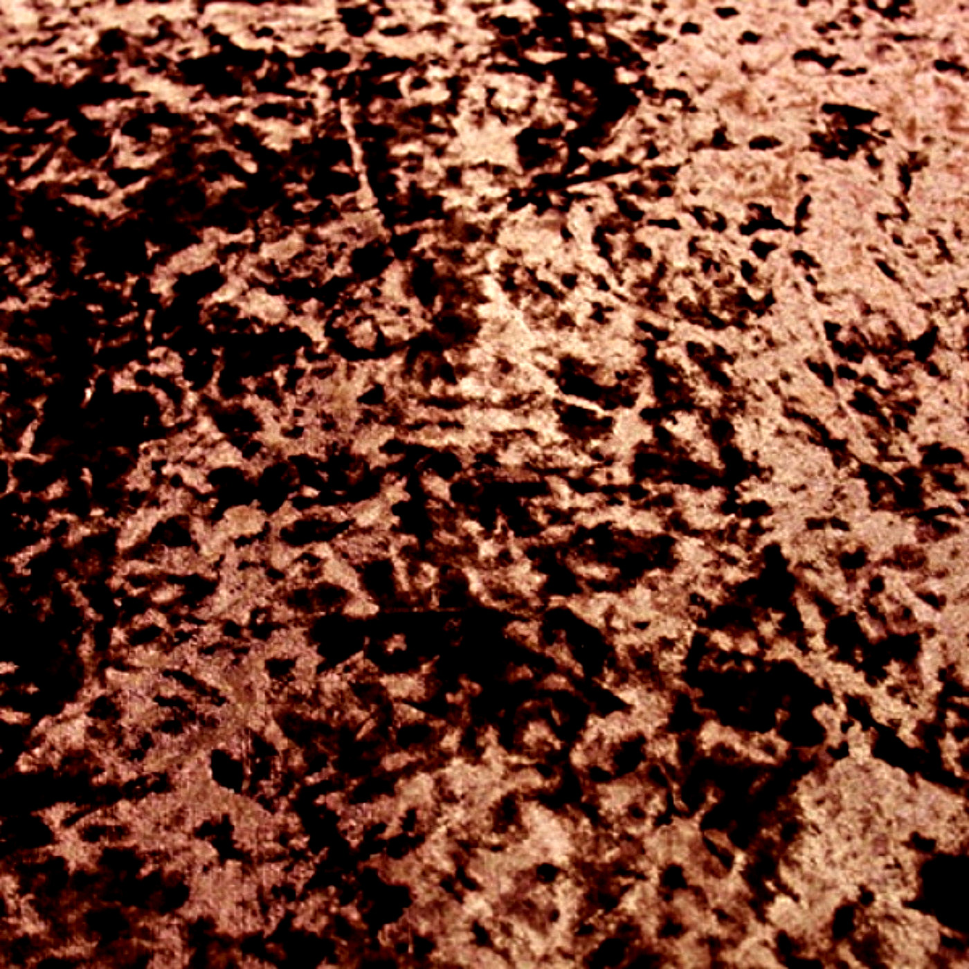 Рич шоколад