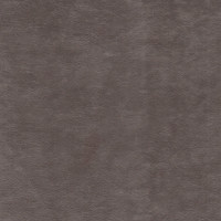 Виторио стоун