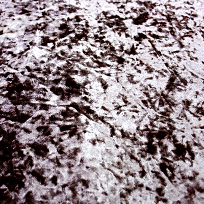 Рич сильвер