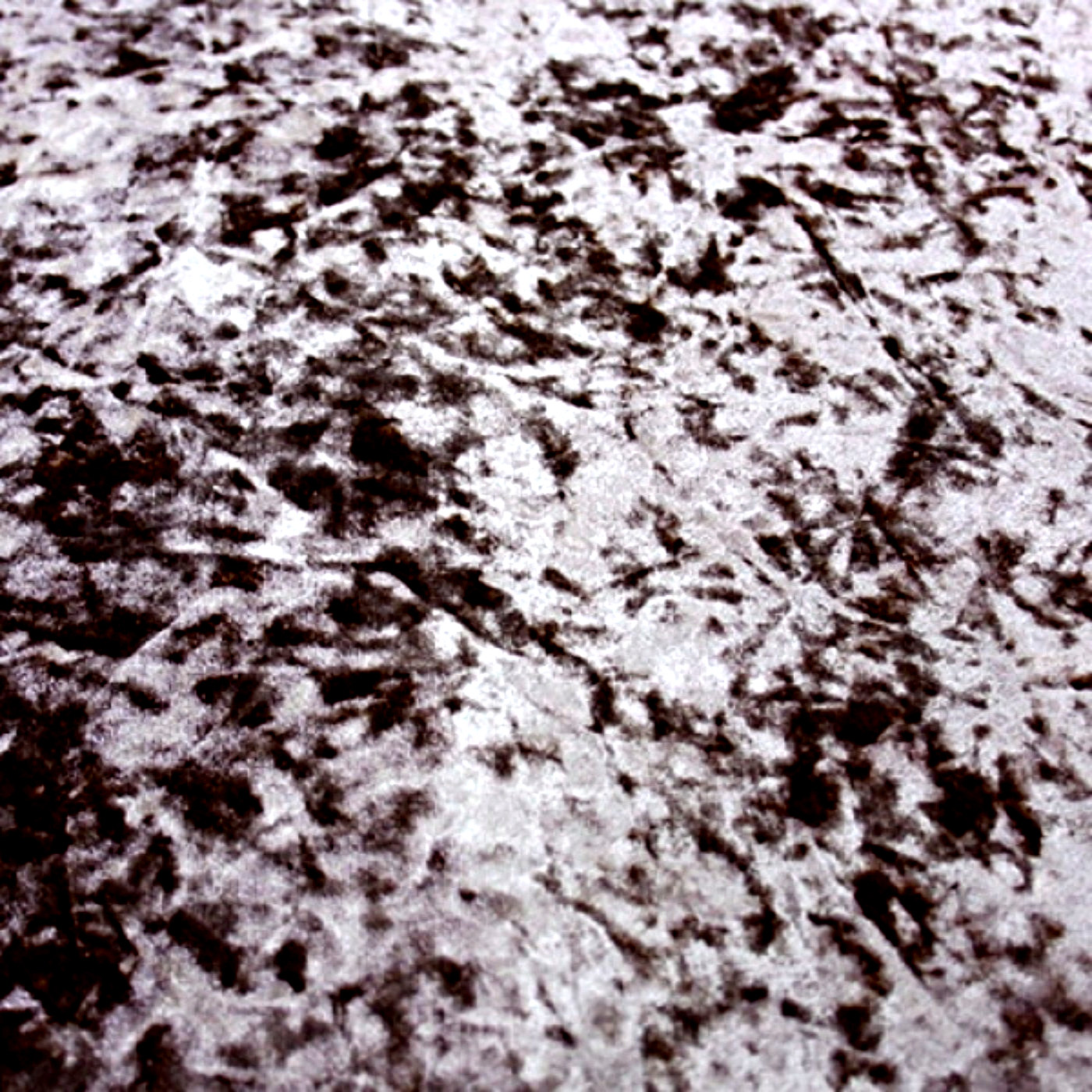 Рич сильвер