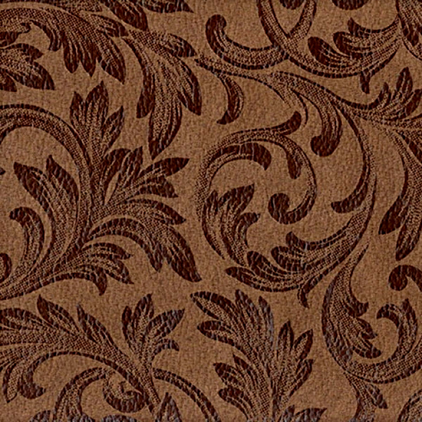 Латина шоколад