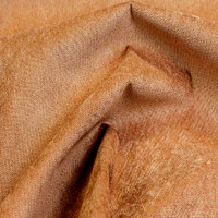 Фернандо беж