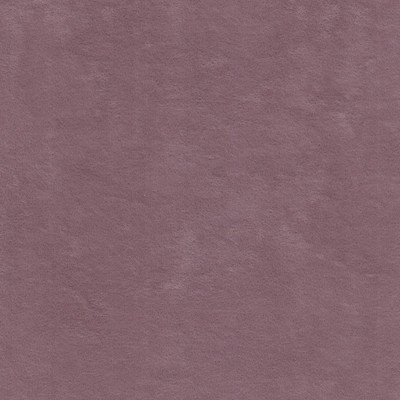 Виторио элдберри