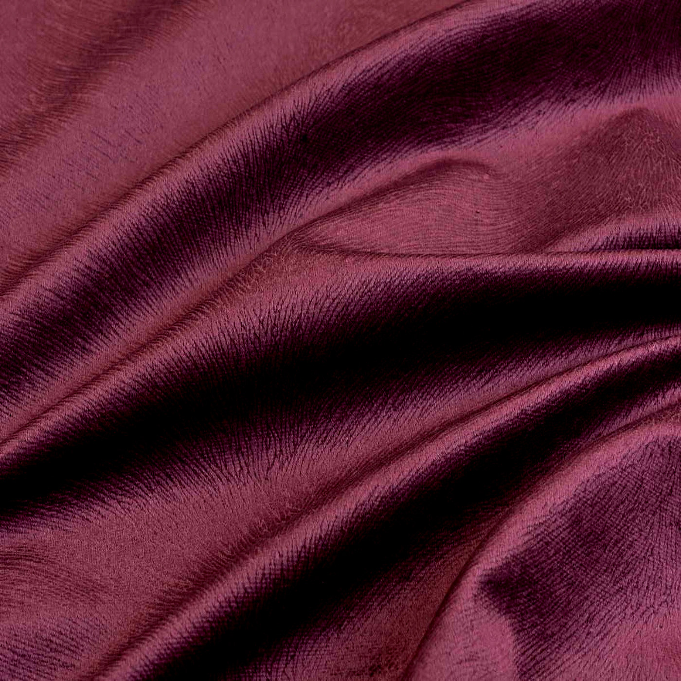 Гаваи виолет