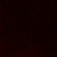 Морган бордо-браун