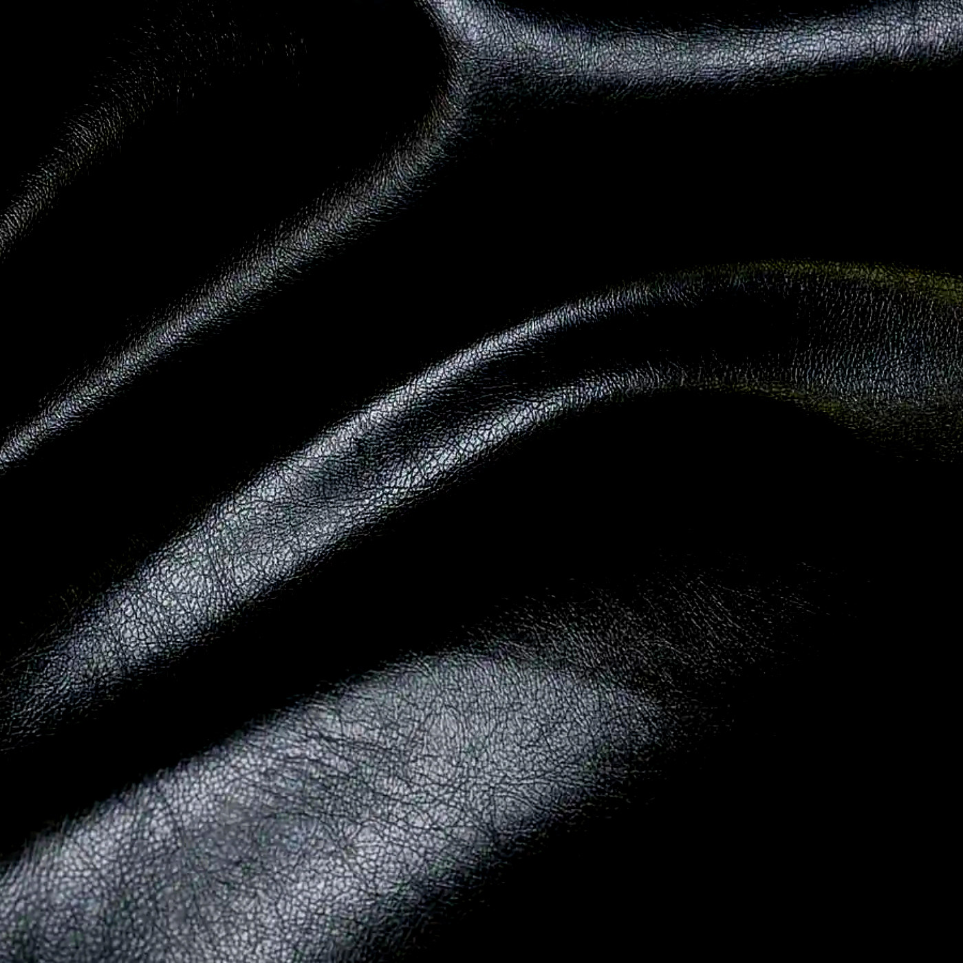 Морган блэк