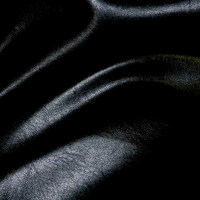 Морган блэк