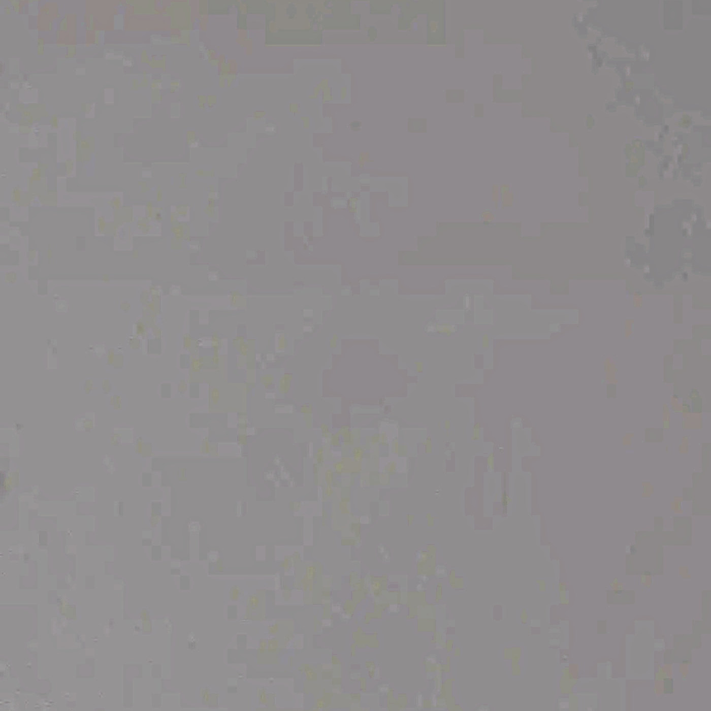 Морган сильвер