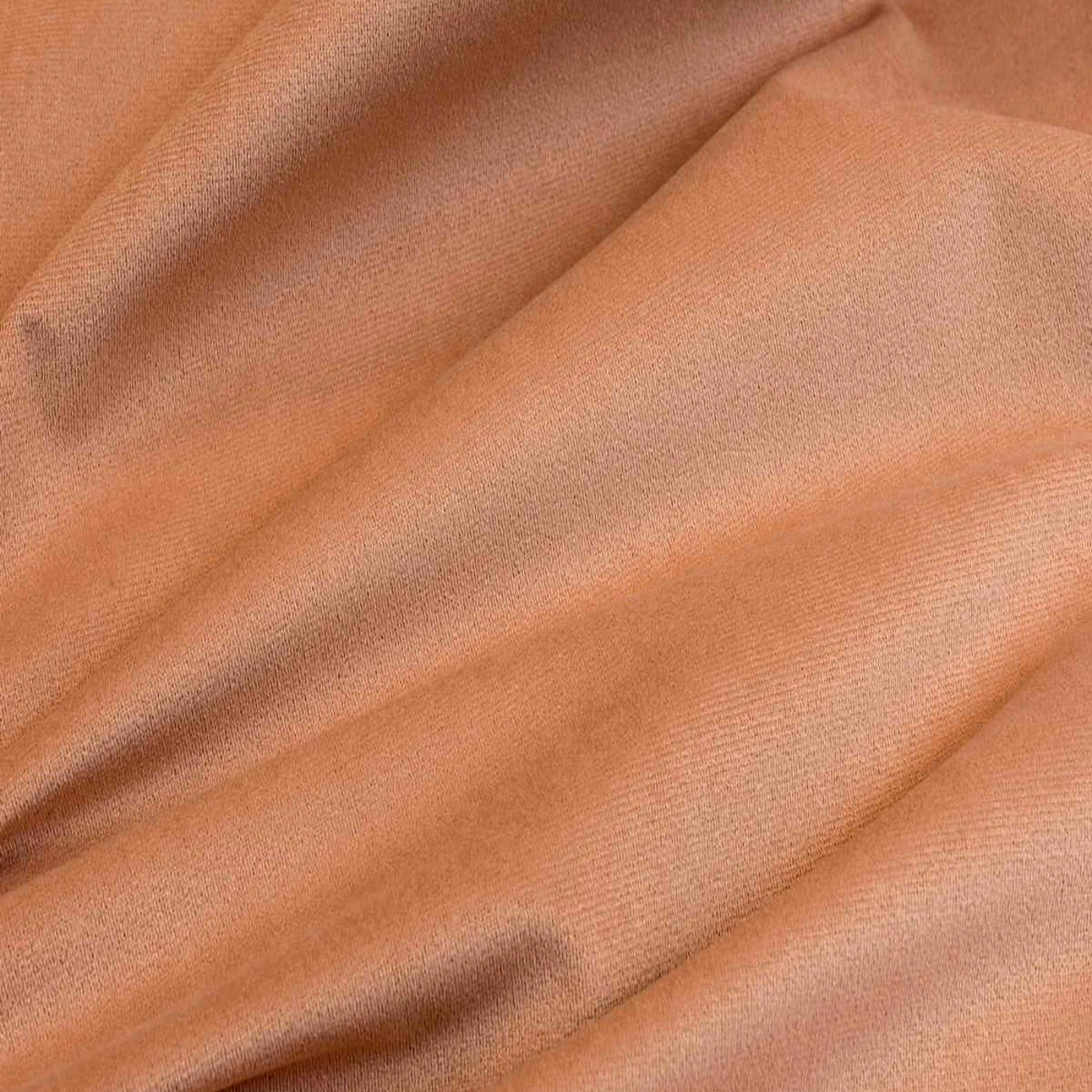 Феникс корица