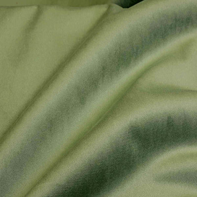 Феникс олив