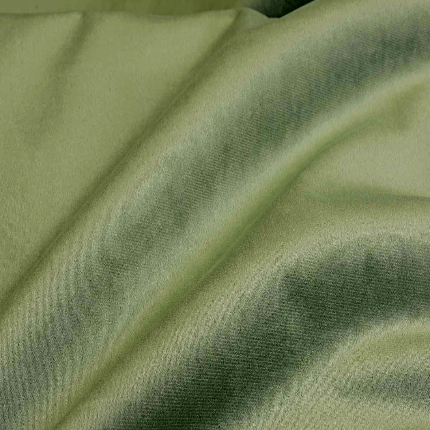 Феникс олив