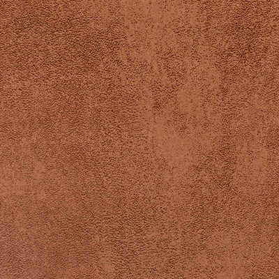 Кэмбридж кэмел