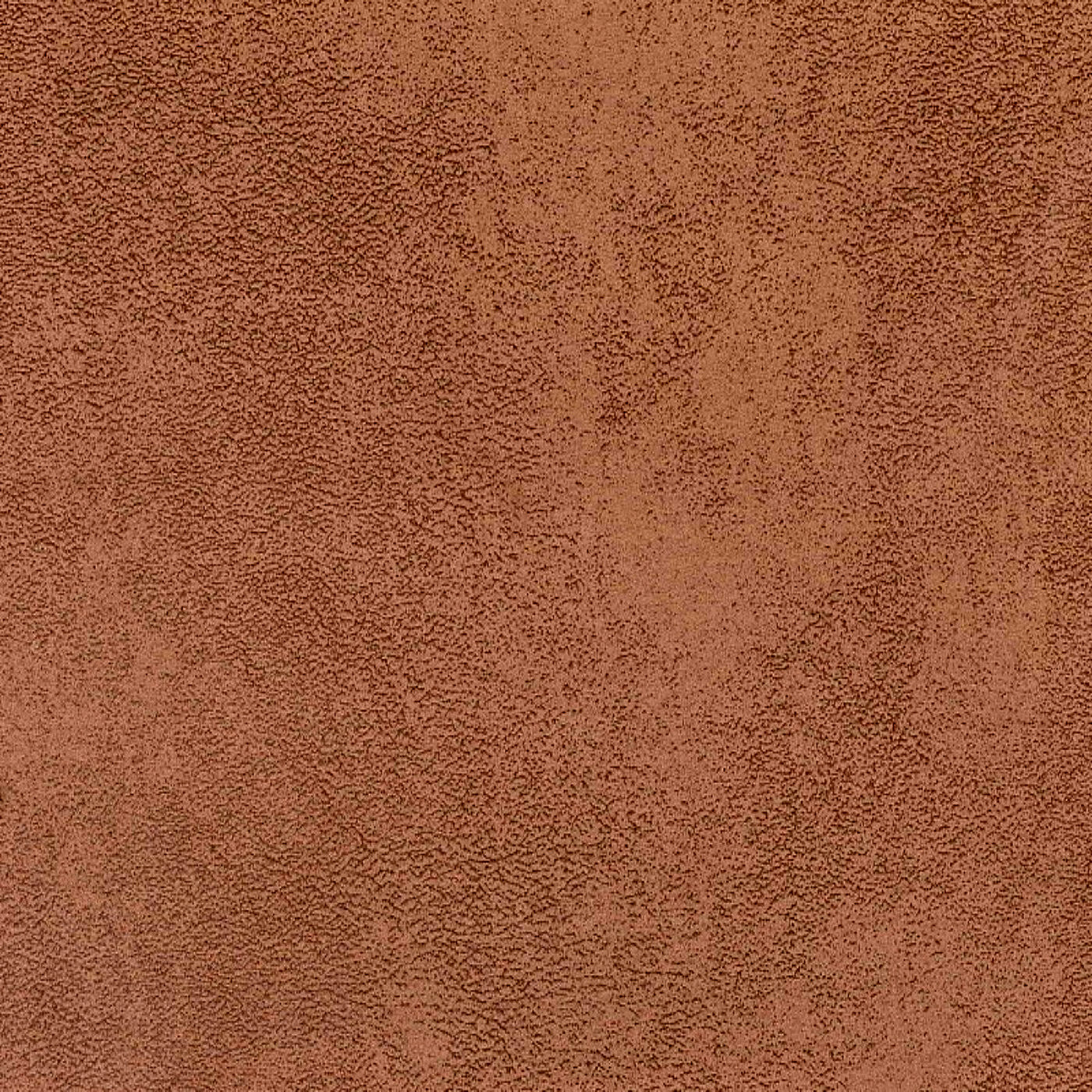 Кэмбридж кэмел