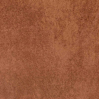 Кэмбридж кэмел