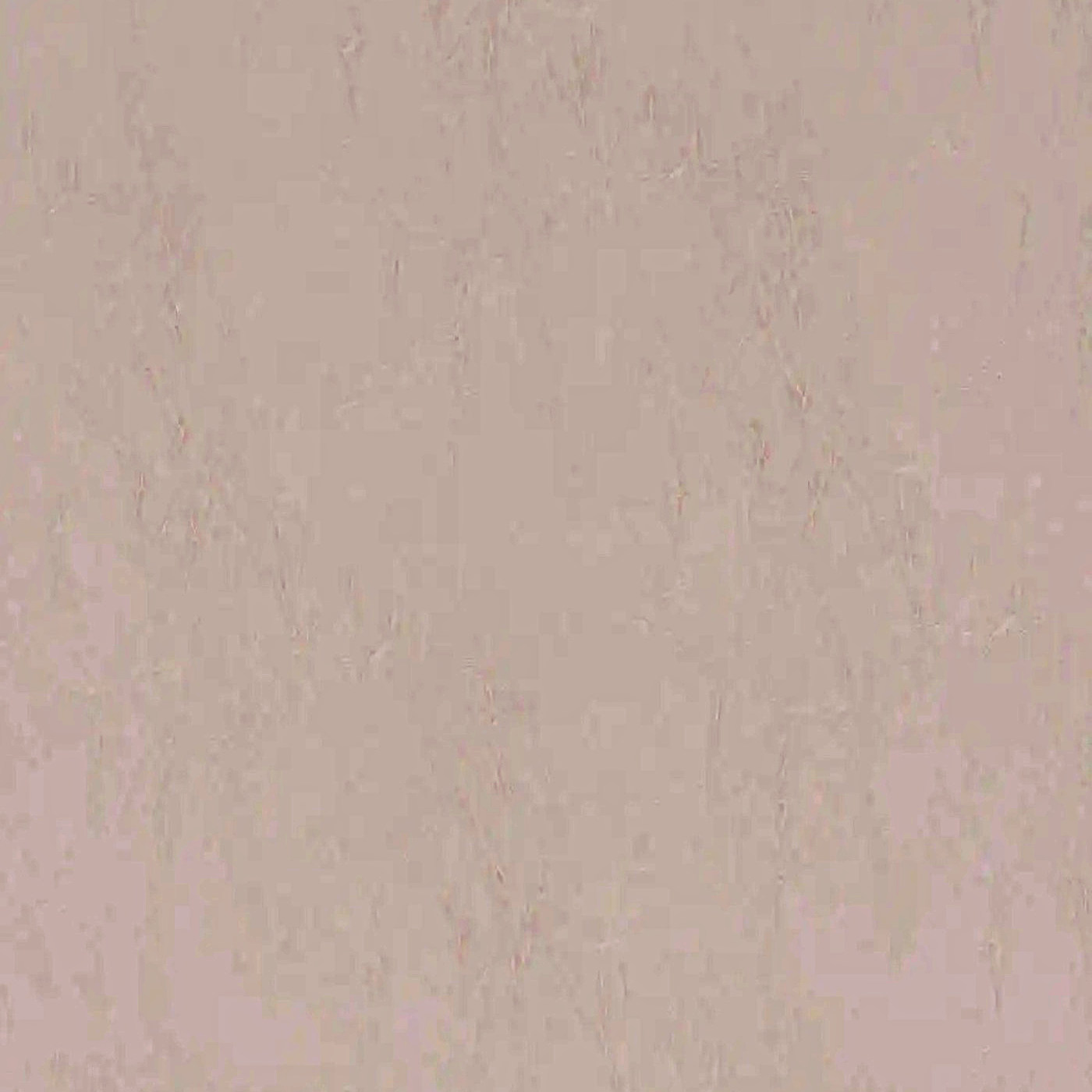 Пегас сильвер