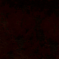 Пегас эспрессо